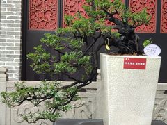 -梁园