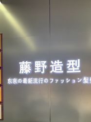 -藤野造型烫发染发