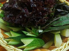 -兴芮温泉度假区