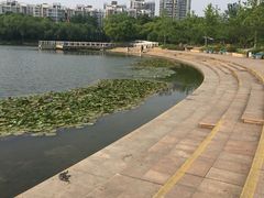 -新江湾城公园