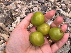 -仙人谷漂流景区