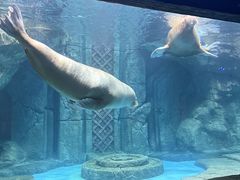 -波塞冬旅游度假区