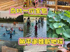 -乌村
