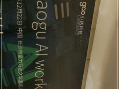 -长沙富力万达文华酒店