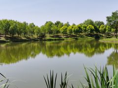 -东郊湿地公园