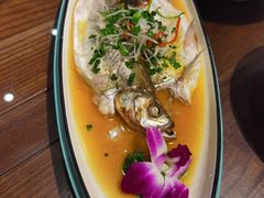 清蒸太湖大白鱼-梁溪河畔·吉府花园(南长街南下塘店)