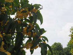-九里河湿地公园