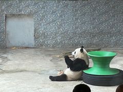 -西安秦岭野生动物园