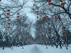 -天坛公园