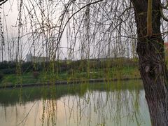-九科绿洲