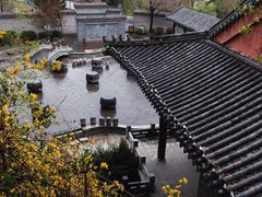-望溪公园