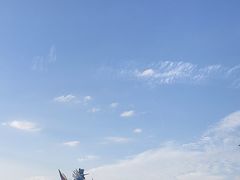 -花博汇(知音花月夜)