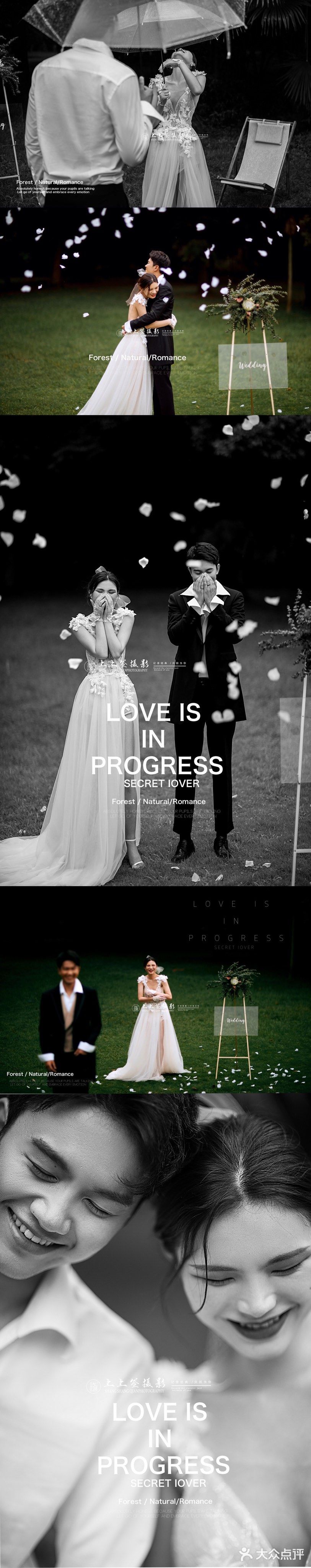 草坪婚礼/明亮森系高定婚纱照系列分享🍃