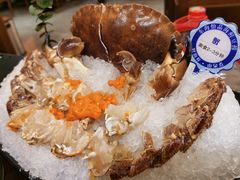 -东海怡品海鲜豆捞(星街坊店)
