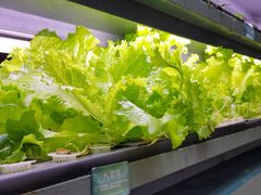-蔡澜PHO(海岸城店)