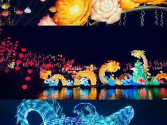 -淄博花灯齐彩城