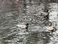 -水磨沟公园