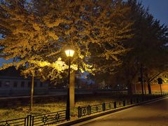 -东华门大街小区