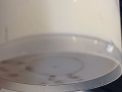 -阿嬷手作(成都万象城店)