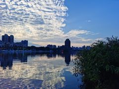 -眉山湿地公园(东坡区)