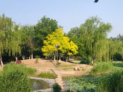 -南翠屏公园