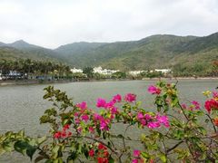 android_upload_pic-三亚亚龙湾凯莱仙人掌度假酒店