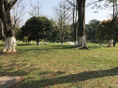 -松山湖梦幻百花洲