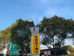 -中国扬子鳄村