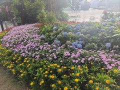 -荔湾湖公园