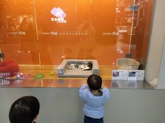 -狗道宠物(常熟印象城店)