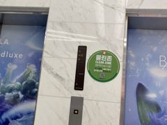 -乐天免税店(明洞店)