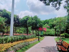 -阳台山森林公园