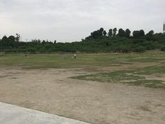 -秀丽东方