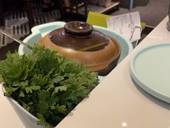 -润园四季椰子鸡火锅(南山海岸城店)