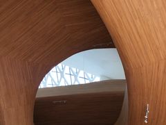 -哈尔滨大剧院