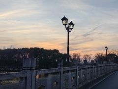 -绍兴镜湖国家城市湿地公园
