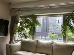 -精德口腔·种植修复·儿牙中心(财富中心店)