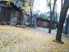 -四川大学(望江校区)