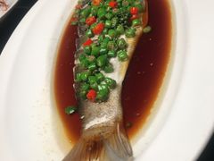 -柒厢食事雅谈