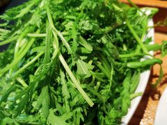 茼蒿-草原塞蛮羊火锅城(港湾店)