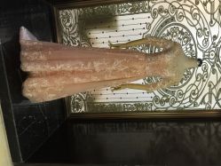 宝娜嫁衣馆-南京宝娜嫁衣婚纱礼服馆(中央路店)