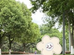 -重庆中央公园(渝北区)