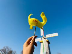 -祥源·阜阳生态乐园