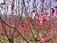 -水濂山森林公园