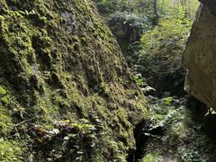 -秦岭终南山世界地质公园翠华山景区