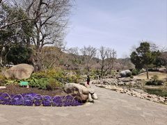 -无锡梅园公园