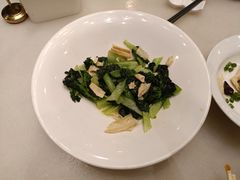 -金鼎轩(方庄天坛店)