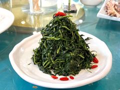 清香枸杞苗-国强手抓(北京西路店)