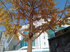 -城市运动公园(未央区)