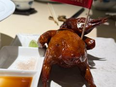 非遗红烧乳鸽-侨美食家·粤菜(体育西路店)